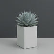 Miami Corner fiberglass planter in Matte Bright White, planted with blue-grey agave, studio
