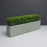 Miami Narrow Rectangular fiberglass planter in Matte Cement Grey, planted with continuous mound of trimmed boxwood hedging, studio