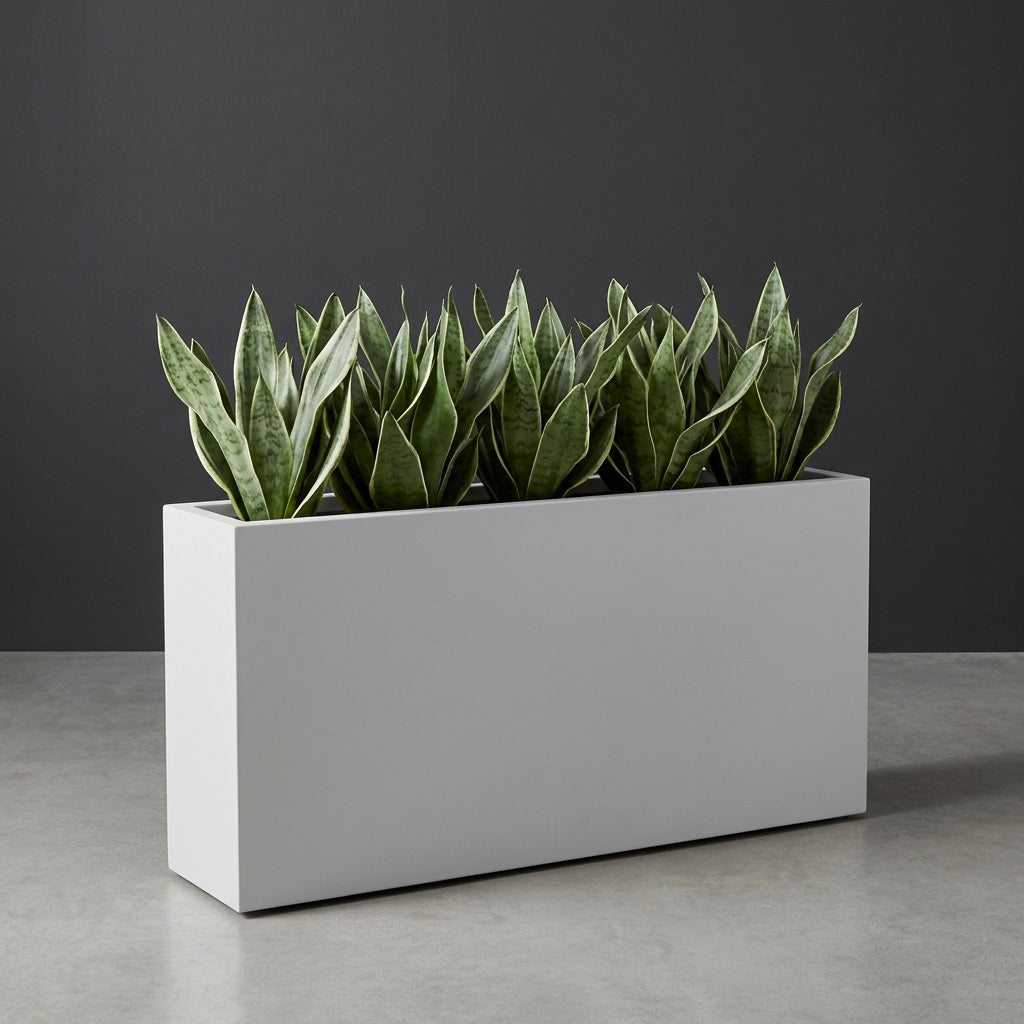 Milano Narrow Rectangular fiberglass planter in Matte Bright White, planted with dense row of snake plants, studio