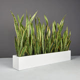 Monaco rectangle fiberglass planter, planted with snake plant