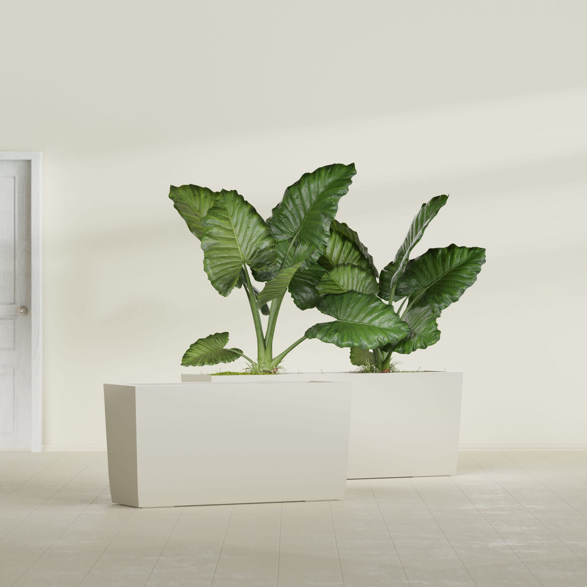 Panama tapered fiberglass planter in Satin Beige, 36"L × 12"D × 18"H, shown empty