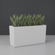 Panama Tapered Rectangular fiberglass planter in Matte Bright White, planted with dense row of snake plants, studio