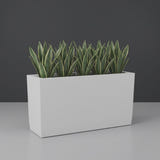 Panama Tapered Rectangular fiberglass planter in Matte Bright White, planted with dense row of snake plants, studio