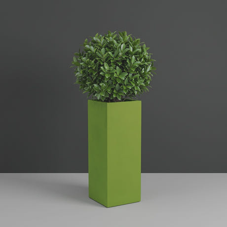 Perth Corner fiberglass planter in Satin Green, planted with compact ficus, studio