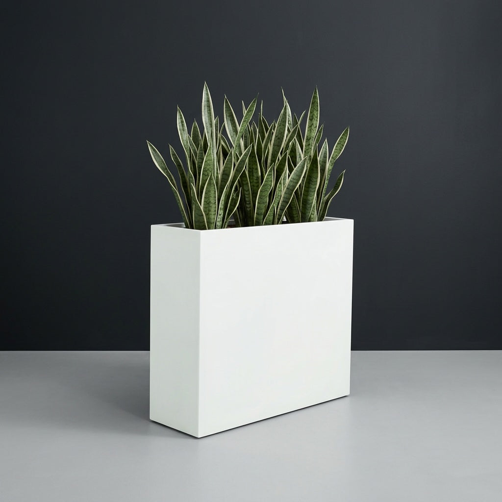 Perth Rectangular fiberglass planter in Matte Bright White, planted with cluster of snake plants, studio