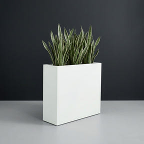 Perth Rectangular fiberglass planter in Matte Bright White, planted with cluster of snake plants, studio