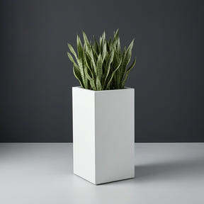 Potsdam Corner fiberglass planter in Matte Bright White, planted with cluster of snake plants, studio
