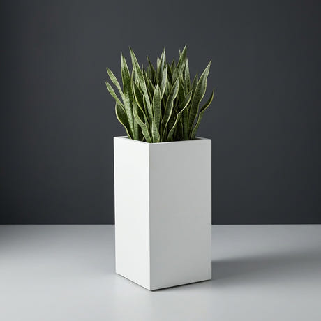 Potsdam Corner fiberglass planter in Matte Bright White, planted with cluster of snake plants, studio