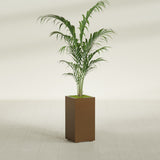 Potsdam corner fiberglass planter, in a bronze finish, planted with a palm