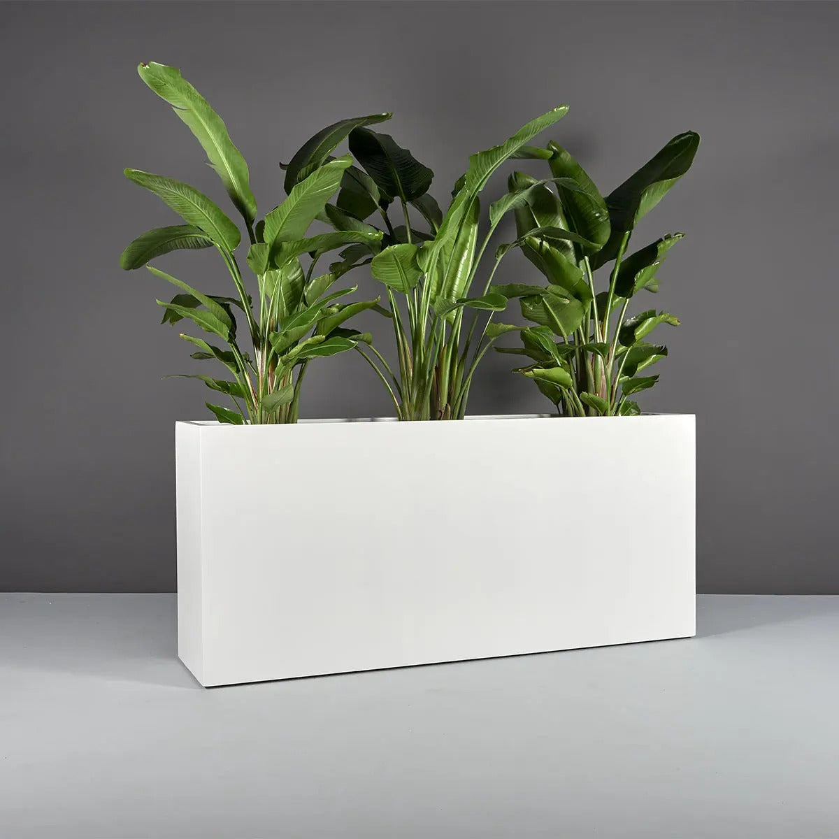 Potsdam Rectangular Planter, in real life