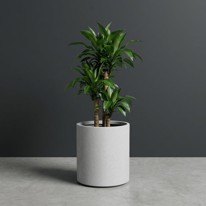 Rio Grande Cylinder fiberglass planter by Jay Scotts, studio photo