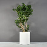 Rio Grande Cylinder Planter in real life, styled with plants