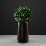 Saigon Tapered Round fiberglass planter in Matte Black, planted with compact ficus, studio