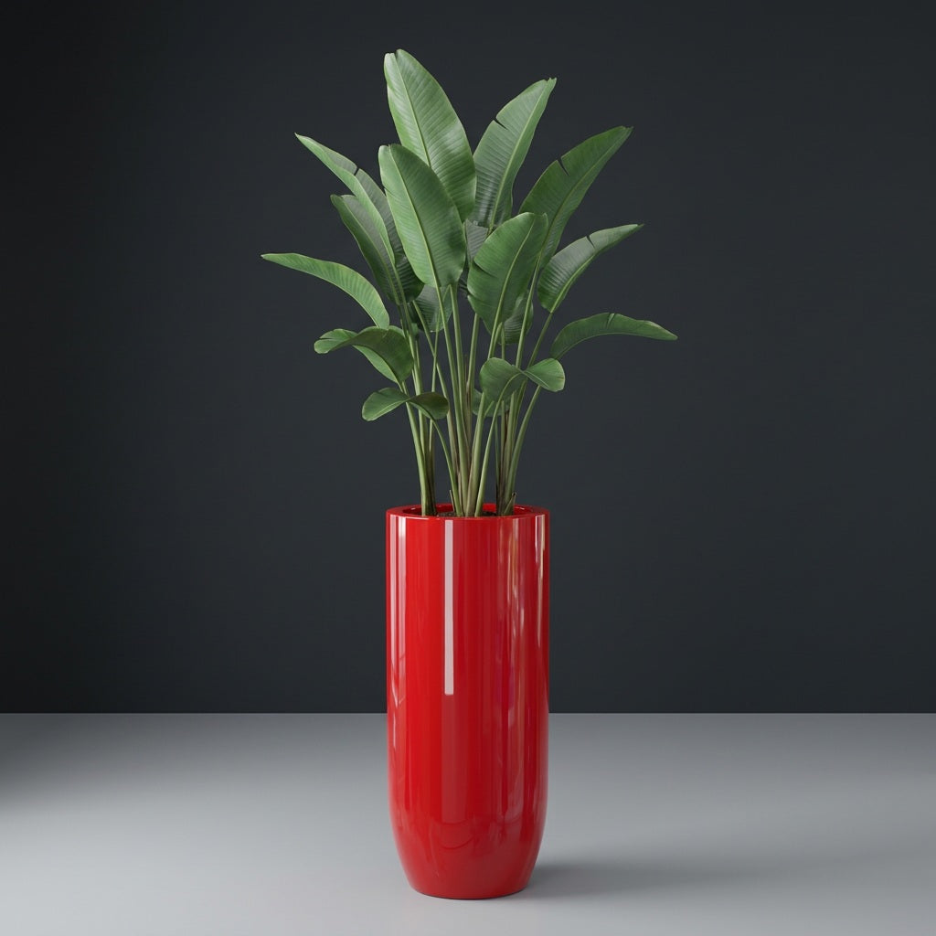 Saint Tropez Bullet Round fiberglass planter in Gloss Red, planted with bird of paradise, studio