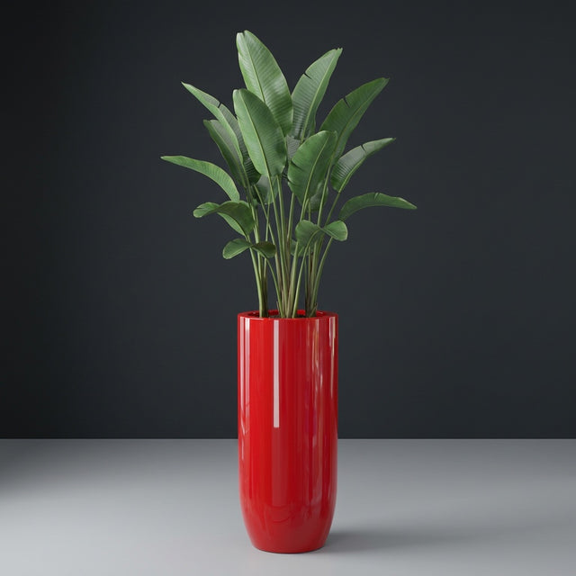 Saint Tropez Bullet Round fiberglass planter in Gloss Red, planted with bird of paradise, studio