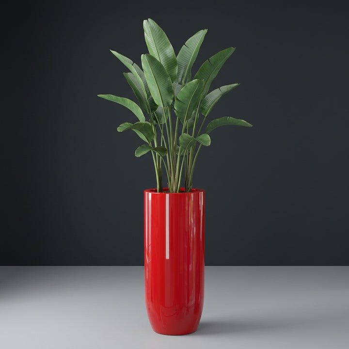 Saint Tropez Bullet Round fiberglass planter by Jay Scotts, studio photo