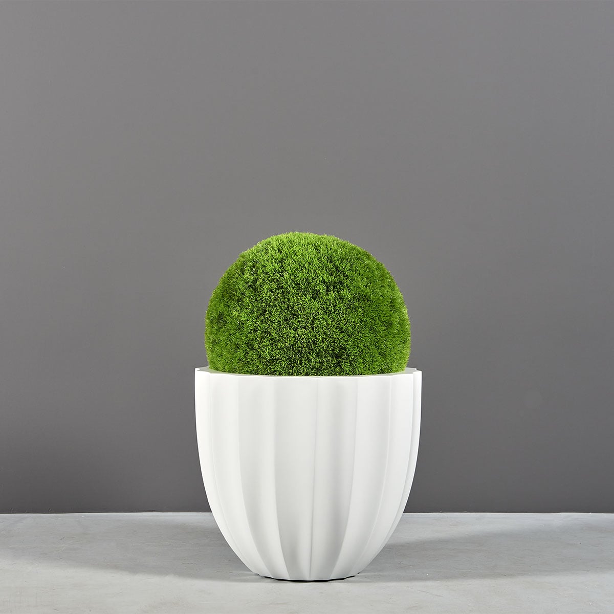 Santa Barbara fluted round fiberglass planter, planted with a moss ball