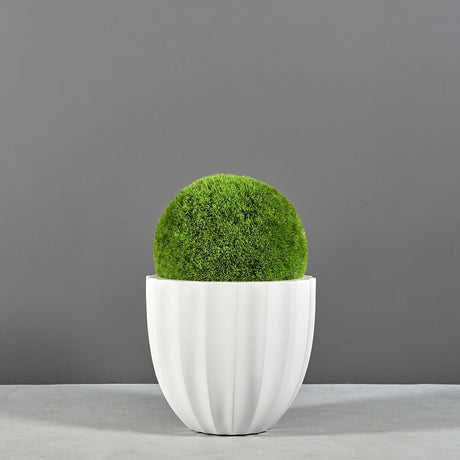 Santa Barbara fluted round fiberglass planter, planted with a moss ball