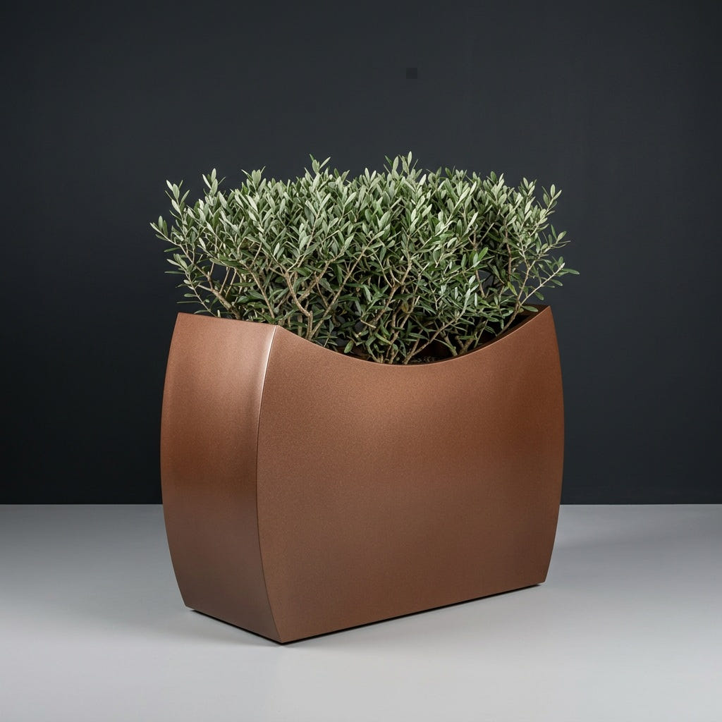 Seoul Curved fiberglass planter in Metallic Bronze, planted with row of trimmed dwarf olive shrubs, studio