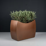 Seoul Curved fiberglass planter in Metallic Bronze, planted with row of trimmed dwarf olive shrubs, studio