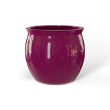 Shanghai fishbowl fiberglass planter in Gloss Eggplant, studio render