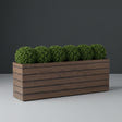 Siena fiberglass planter in Woodland, planted with row of clipped boxwood balls, studio