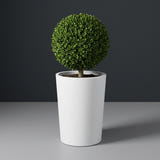 Tegel Round Tapered fiberglass planter in Matte Bright White, planted with clipped boxwood ball on a short trunk, studio