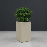 Tolga Corner fiberglass planter in Satin Beige, planted with compact ficus, studio