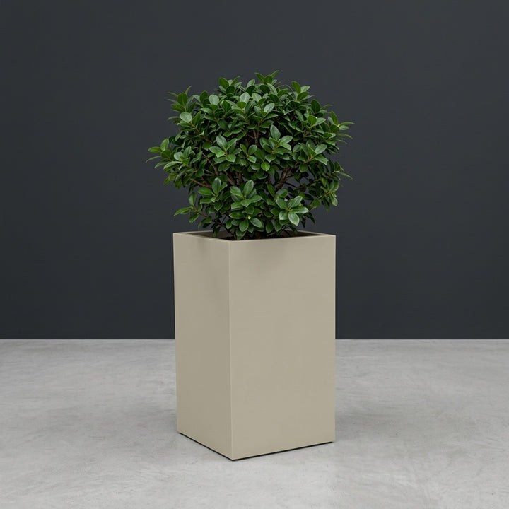 Tolga Corner fiberglass planter by Jay Scotts, studio photo