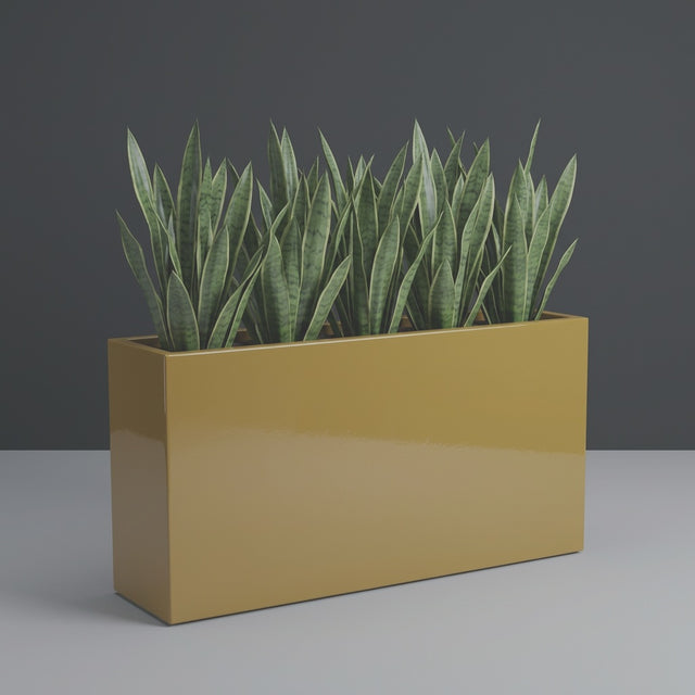 Tolga Rectangular fiberglass planter in Gloss Metallic Gold, planted with row of tall snake plants, studio