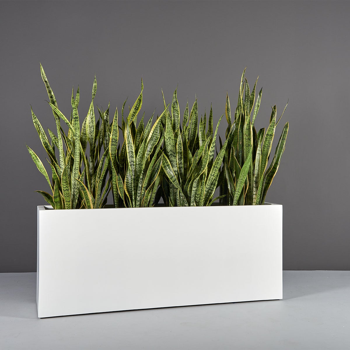 Tolga rectangular fiberglass planter
