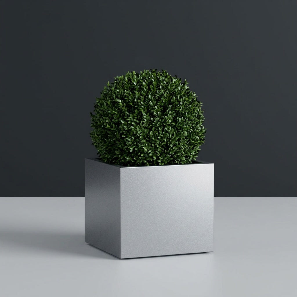 Torino Corner fiberglass planter in Metallic Silver, planted with clipped boxwood ball, studio