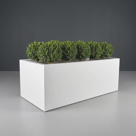 Torino Wide Rectangular fiberglass planter in Matte Bright White, planted with row of clipped boxwood balls on short trunks, studio