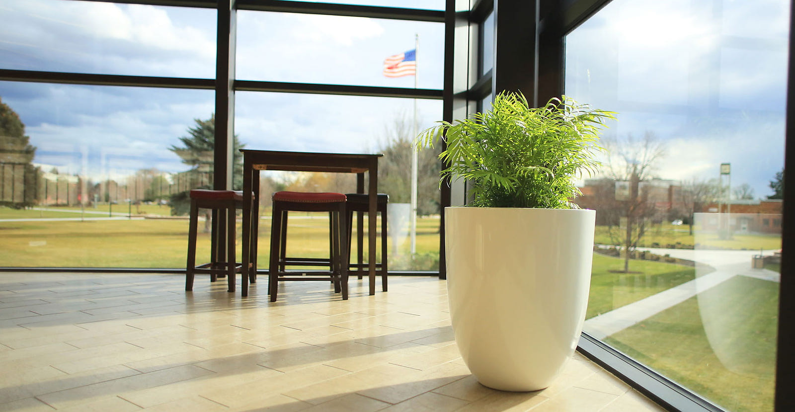 White Valencia fiberglass planter with a palm in a sunlit office lobby