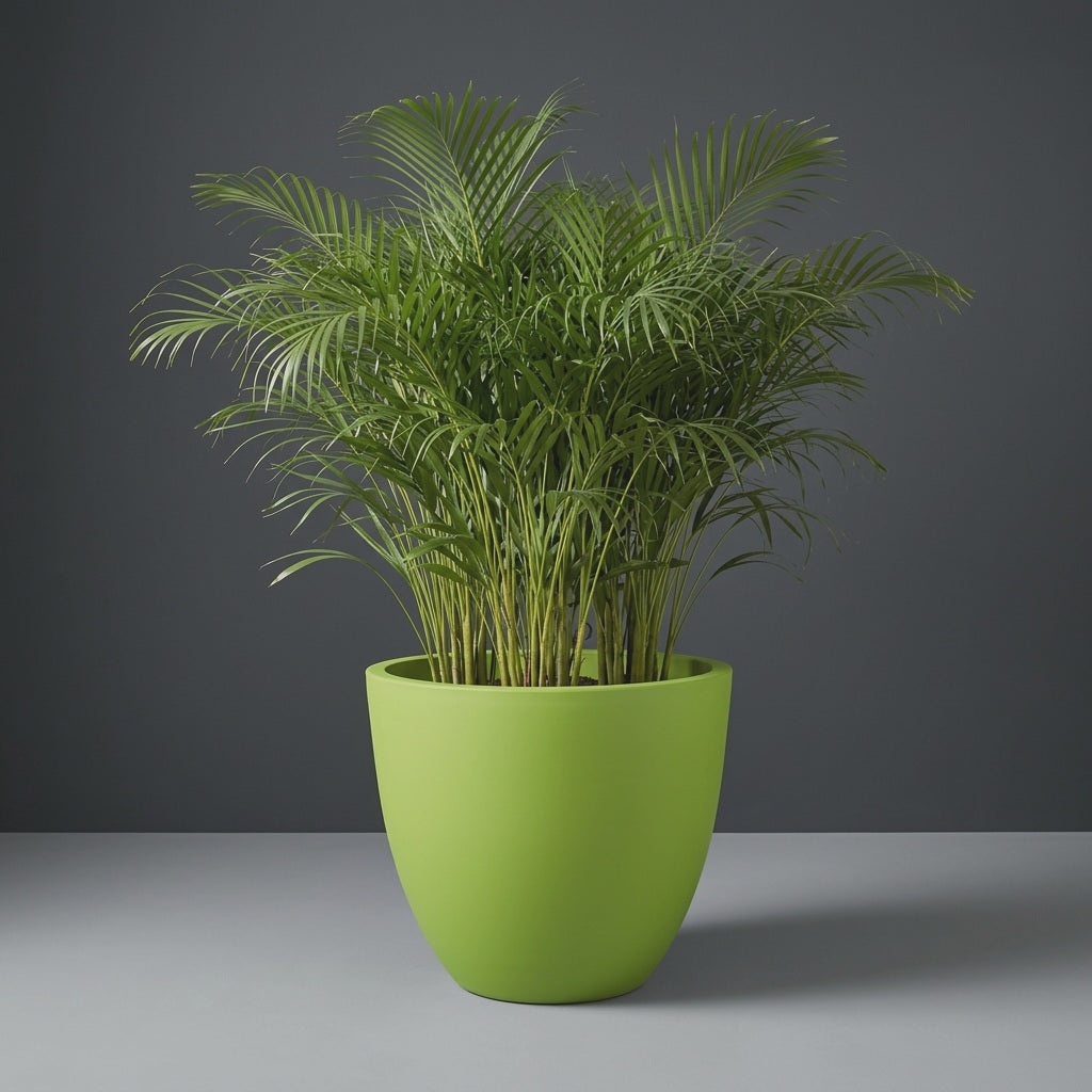 Wannsee Round fiberglass planter in Satin Green, planted with an areca palm, studio