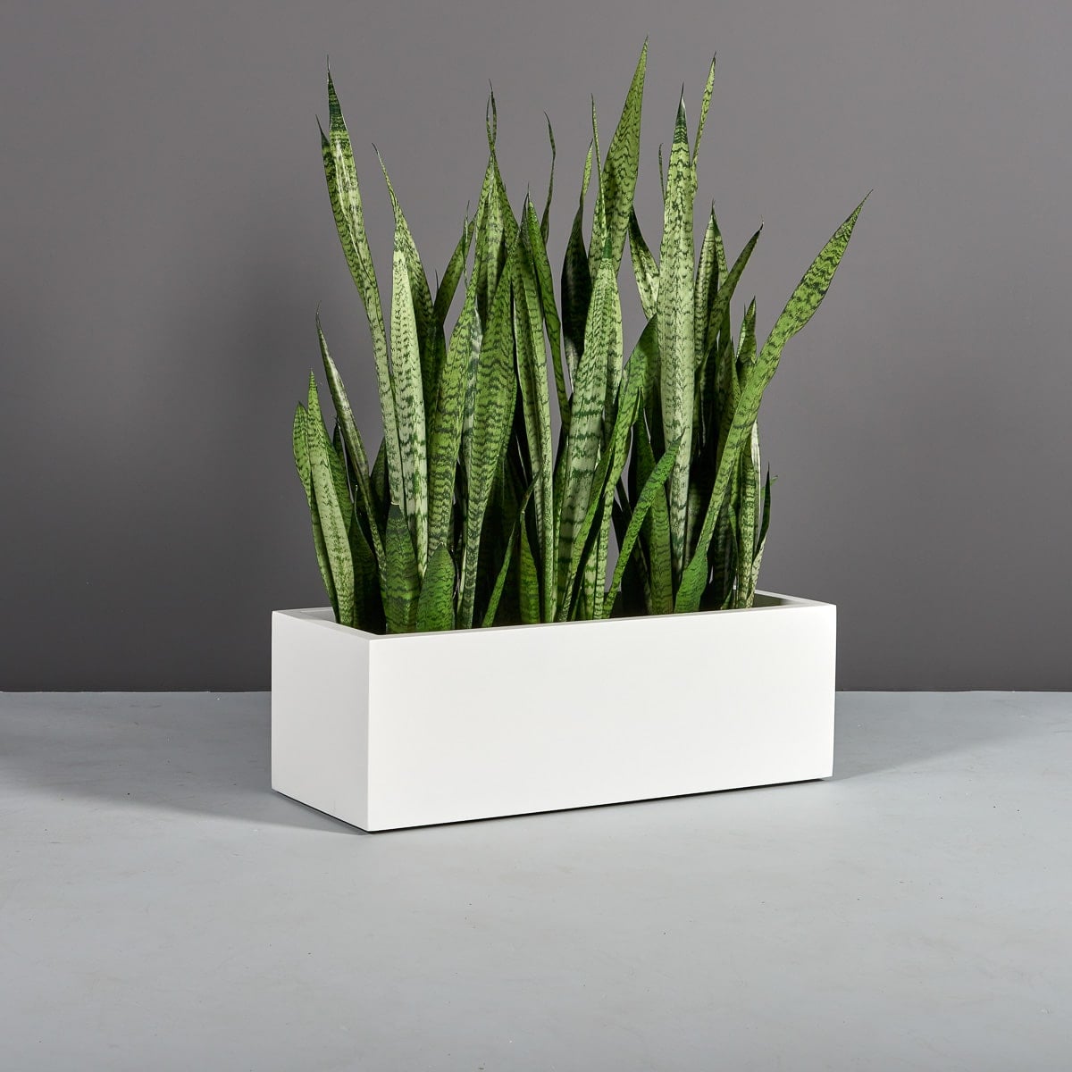 Cuba low rectangular fiberglass planter